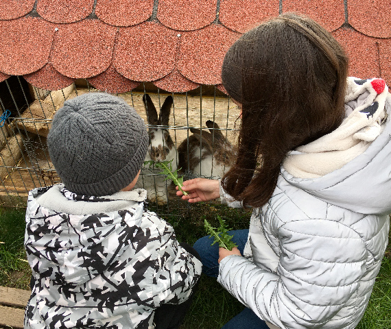enfant avec sa maman nourrissant un lapin