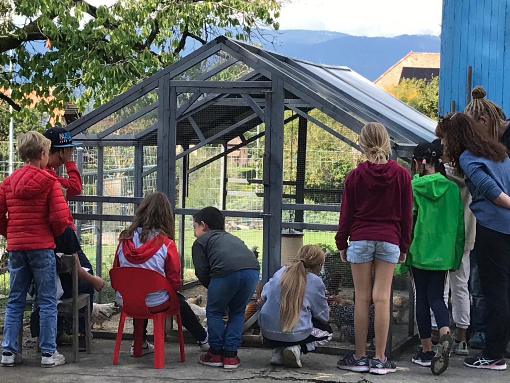 groupes enfants proche du poulailler durant une actvité